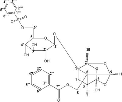 A Modified Compound From Paeoniflorin, CP-25, Suppressed Immune Responses and Synovium Inflammation in Collagen-Induced Arthritis Mice